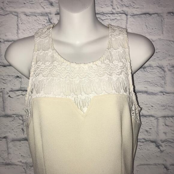 The Impeccable Pig Beige Lace Dress - Picture 5 of 9